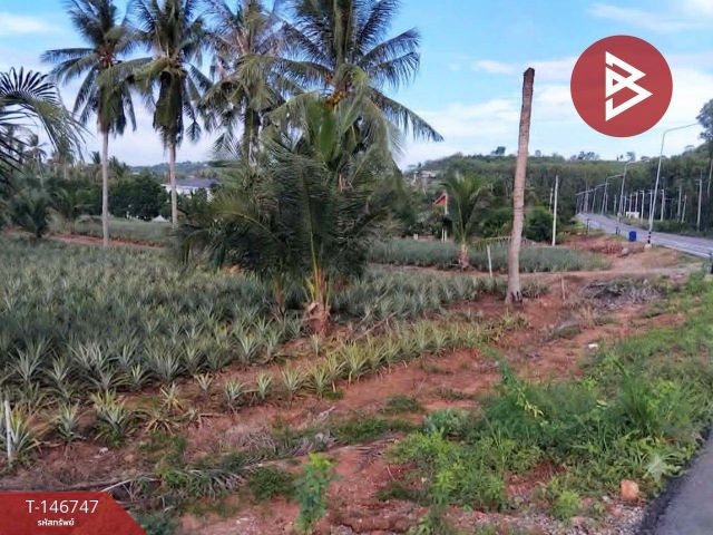 ขายที่ดิน เนื้อที่ 4 ไร่ 25 ตร.วา ปราณบุรี ประจวบคีรีขันธ์