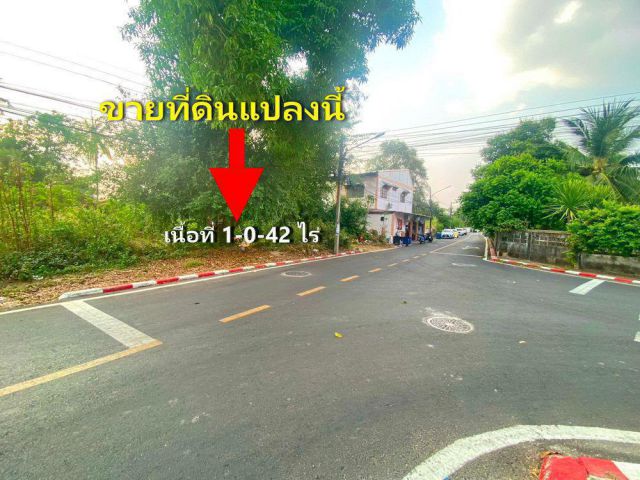 ที่ดิน เขตเทศบาลวารินชำราบ จังหวัดอุบลราชธานี ทำเลดี น่าลงทุน