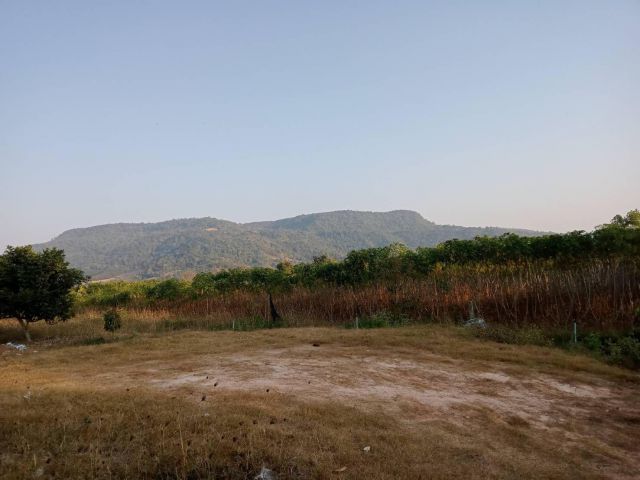 ที่ดิน 6 ไร่ วิวสวย บรรยากาศดี อ.ภูเรือ ไฟน้ำพร้อม ใกล้ตลาด เข้าออกสะดวกเหมาะกับบ้านพักตากอากาศมาก
