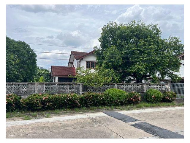 ขายที่ดินหายาก ครึ่งไร่กว่า เหมาะสร้างบ้าน ซอยติดมหาวิทยาลัยเกษตรศาสตร์บางเขน