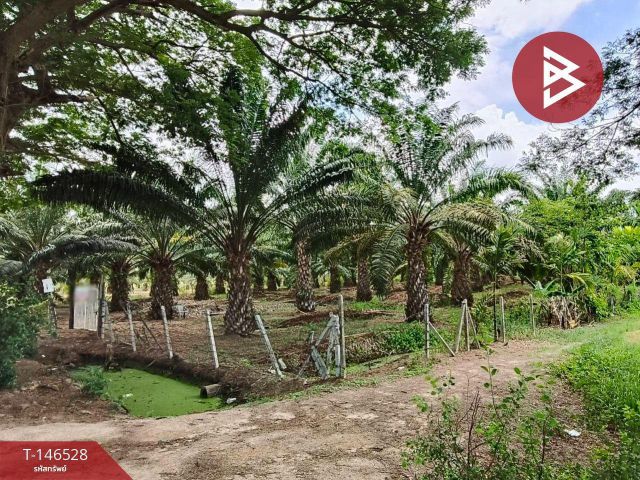 ขายที่ดินพร้อมสวน เนื้อที่ 4 ไร่ 2 งาน 58 ตร.วา ชะอำ เพชรบุรี