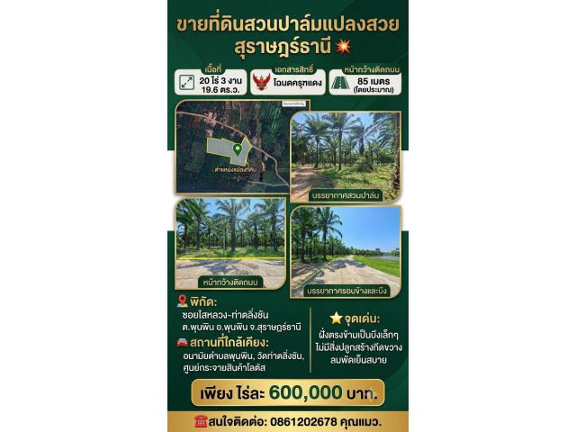 ขายที่ดินสวนปาล์มราคาถูกที่สวยมาก