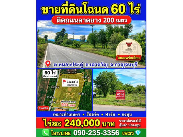 ขายที่ดินโฉนด61ไร่ ติดลาดยาง200ม. ต.หนองประดู่ อ.เลาขวัญ จ.กาญจนบุรี