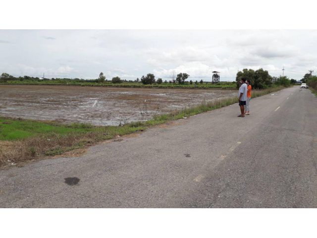 ขาย ที่ดิน 25-3-61 ไร่ ต.โพรงอากาศ อ.บางน้ำเปรี้ยว จ.ฉะเชิงเทรา