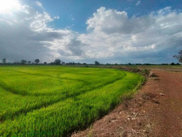 R69-45ขายที่นา 8-0-10 ไร่ ตำบลนาทุ่ง อำเภอสวรรคโลก จังหวัดสุโขทัย ที่ดินทำเกษตร. ไร่ละ 100,000 บาท ราคาต่อรองได้ค่ะ