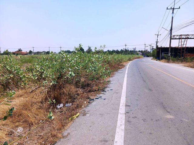 ขายที่ดินถมแล้ว แปลงสวยทำเลดี ติดถนนลาดยาง 240 เมตร เนื้อที่ 8-1-34 ไร่ เหมาะทำธุรกิจประเภทต่างๆ