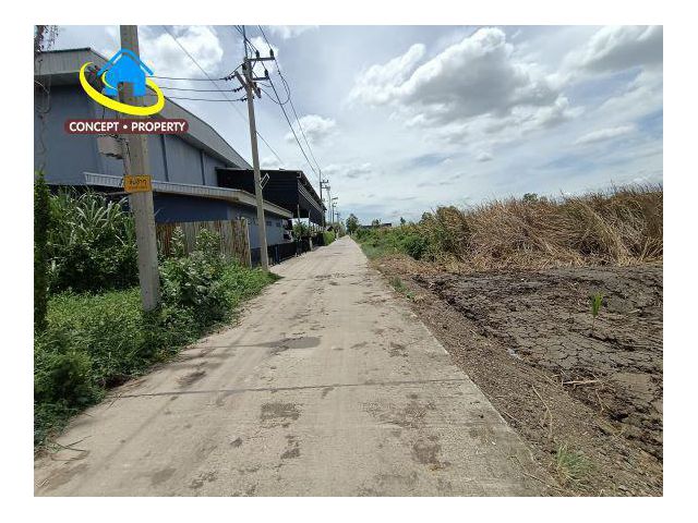 ขายที่ดิน 1 ไร่ ถึง 2 ไร่ ซอยไสวประชาราษฎร์ 45 ตำบลคลองสี่ อำเภอลำลูกกา จังหวัดปทุมธานี