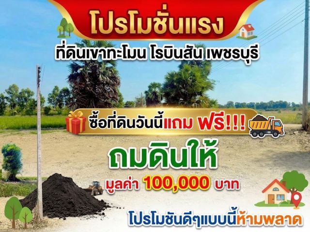 ที่ดิน เขาทะโมน เพขชรบุรี