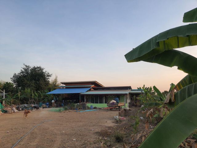 ขายบ้านสวนพร้อมที่ดิน 1ไร่ 1งาน