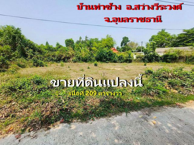 ที่ดินบ้านท่าช้าง เหมาะสำหรับสร้างบ้าน อ.สว่างวีระวงศ์ จ.อุบลราชธานี