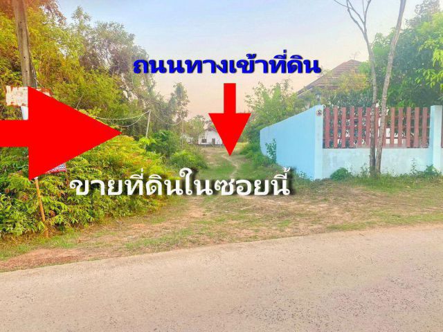 ขายถูก ที่ดินขามใหญ่ เนื้อที่ 77 ตร.ว. ราคา 390,000 บาท