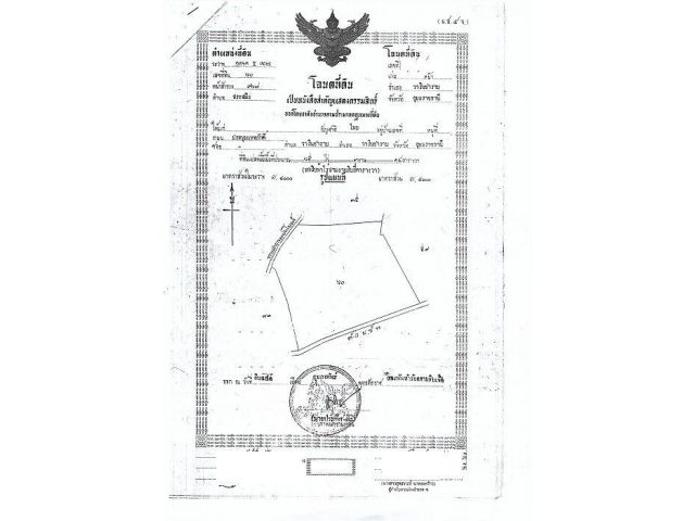 ขายที่ดินแปลงใหญ่ 65 ไร่ ทำเลดี จ.อุบลราชธานี