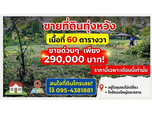 ขายที่ดินทุ่งหวังด่วนๆ