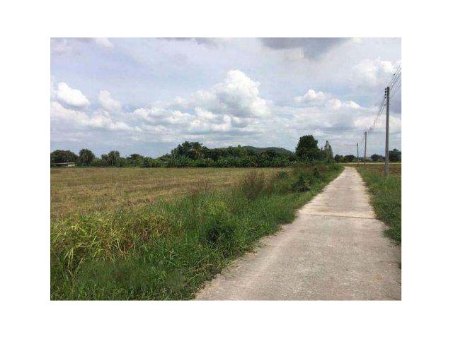 ขายที่ 36 ไร่ ต.เขาขลุง อ.บ้านโป่ง จ.ราชบุรี
