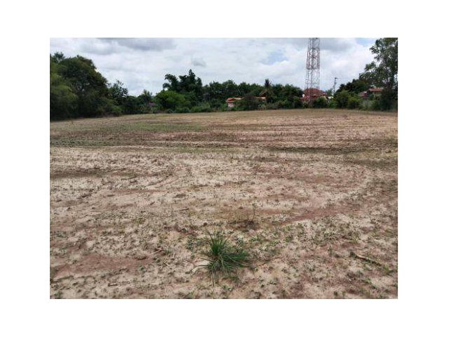 ขายที่ดิน 5 ไร่ ต.ธาตุ อ.เชียงคาน จ.เลย