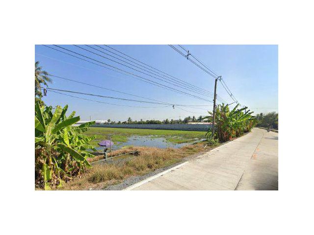 ขายที่ดิน 10 ไร่ ติดถนนคอนกรีต ต.ท่าเสา อ.กระทุ่มแบน สมุทรสาคร