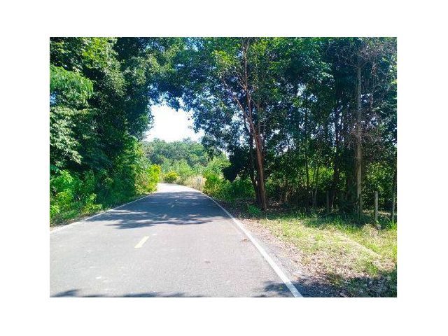 ขายที่ดิน 2 ไร่ ต.คลองขุด อ.ท่าใหม่ จ.จันทบุรี