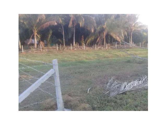 ขายที่ดิน 3 งาน ต.หาดสำราญ อ.หาดสำราญ จ.ตรัง