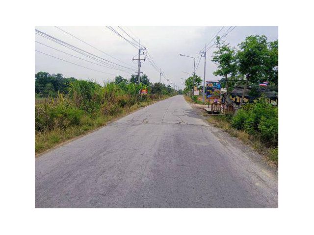 ขายที่ดิน 26 ไร่ บ้านไผ่ดำ ต.ศาลาแดง อ.บางน้ำเปรี้ยว จ.ฉะเชิงเทรา