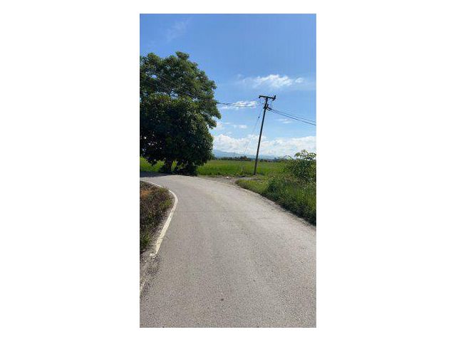 ขายที่ดิน 23 ไร่ บ้านป่าติ้ว ต.สันโป่ง อ.แม่ริม จ.เชียงใหม่