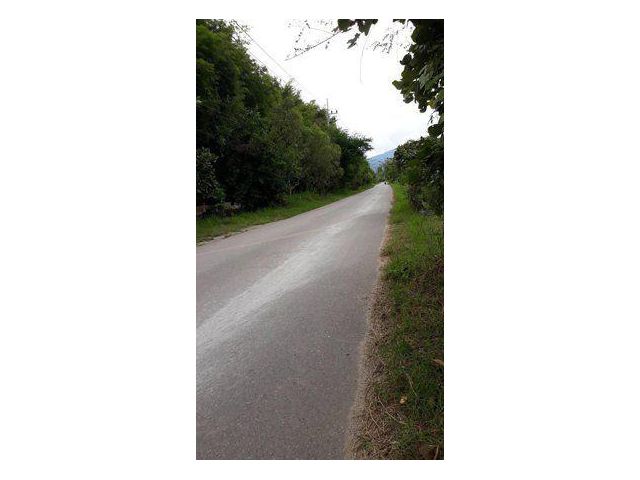ขายที่ดิน 75 ไร่ บ้านสันคะยอม ต.ขี้เหล็ก อ.แม่ริม จ.เชียงใหม่