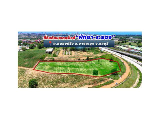 ขายที่ดิน 8 ไร่ พัทยา ติดถนนมอเตอร์เวย์ พัทยา-ระยอง ต.หนองปรือ อ.บางละมุง จ.ชลบุรี