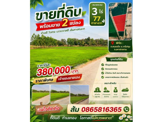 ขายที่ดินแปลงสวยติดกัน 2 แปลง ราคาพิเศษ ต่อรองได้ อ.วาปีปทุม จ.มหาสารคาม