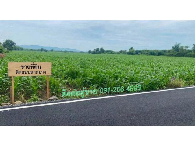 ขายที่ดินช่องสาริกา/ลพบุรี 12 ไร่ @ไร่ละ 200,000 บาท