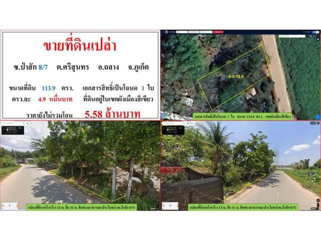 ขายที่ดินเปล่า ขนาด 113.9 ตรว. ซ.ป่าสัก 8/7 ต.ศรีสุนทร อ.ถลาง ภูเก็ต
