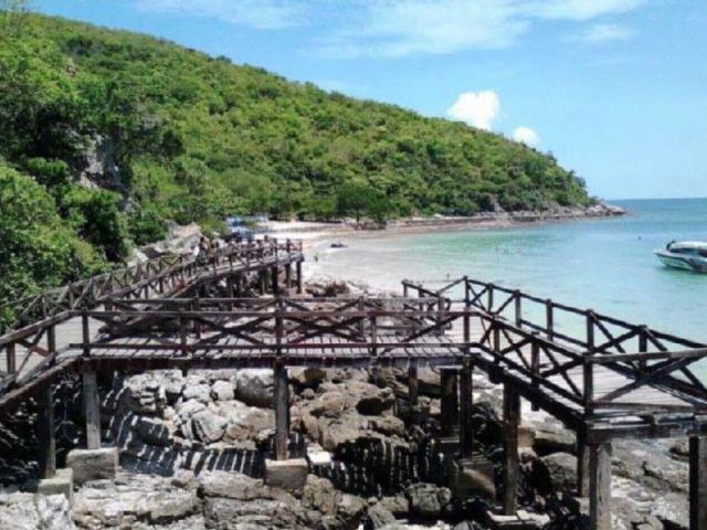 ขายที่ดิน 31 ไร่ หาดสังวาลย์ เกาะล้าน พัทยา ต.นาเกลือ อ.บางละมุง จ.ชลบุรี