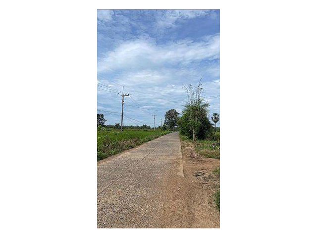 ขายที่ดิน 45 ไร่ ต.บ้านกล้วย อ.ชนแดน จ.เพชรบูรณ์
