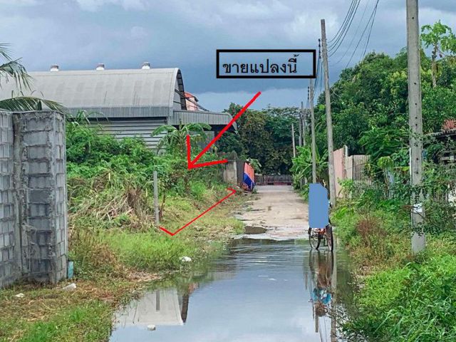 ขายที่ดินเปล่า ลาดพร้าว 101 ซ.โพธิ์แก้ว 3 แยก 9 ใกล้โรงเรียนนานาชาตินีว่า ขนาด 516 ตารางวา