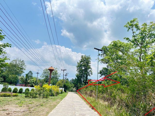 ที่ดิน ติดถนนคอนกรีต เหมาะ สร้างลานกางเต๊นท์