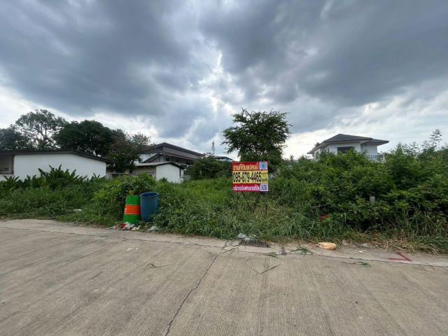 ขายด่วนที่ดินผังม่วง 101 ตรว ติดถนนคอนกรีต ถมแล้ว ซ.นวนทอง 23 กระทุ่มแบน สมุทรสาคร
