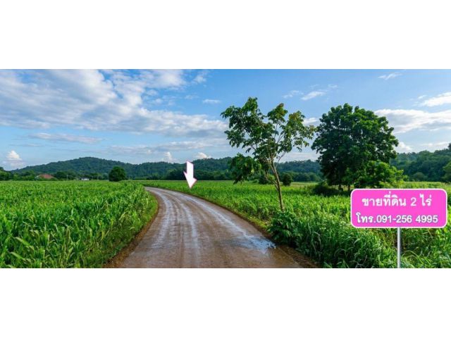 ขายที่ดินบริเวณอ่างซับเหล็ก/นิคมสร้างตนเอง 2ไร่ @ไร่ละ 800,000 บาท