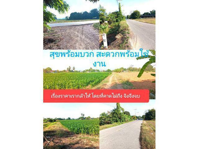สอดคล้องกับสถานการณ์ปัจจุบัน ไม่เกี่ยวกับน้ำมันไม่เกี่ยวการเมือง เกี่ยวกับเรื่องที่ทำกินถิ่นที่อาศัยล้วนๆเลยชวนให้ไปดู