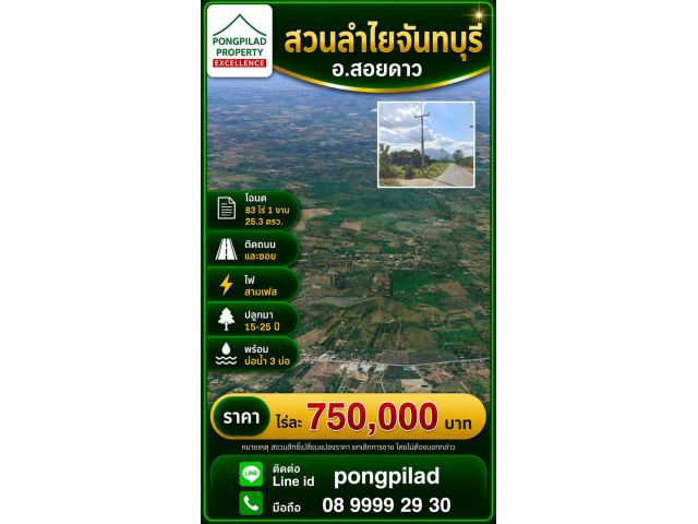 ขายสวนลำใยจันทบุรี สอยดาว โฉนด 83 ไร่ 1 งาน 25.3 ตรว.ไร่ 750,000 บาท
