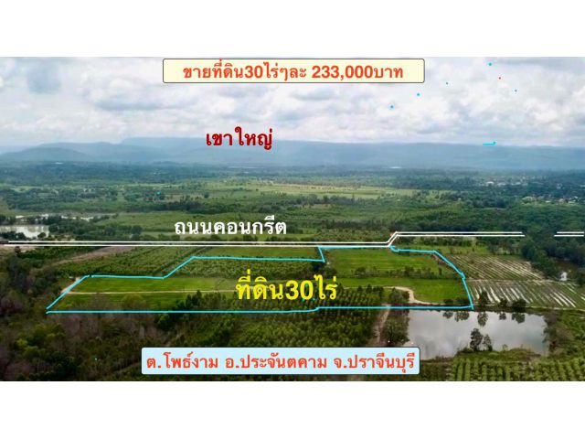 ขายที่ดิน30ไร่ *ใกล้ถนนสุวรรณศร *ติดถนนคอนกรีต *อยู่หมู่บ้านไทรงาม ต.โพธิ์งาม อ.ประจันตคาม จ.ปราจีนบุรี โทร0813763803