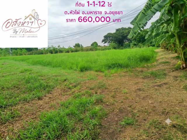 ขายที่ดินเปล่า!!! ต.หัวไผ่ อ.มหาราช จ.พระนครศรีอยุธยา