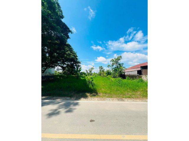 ขายที่ดินตำบลสันผักหวานหางดงบ้านท้าวผายู