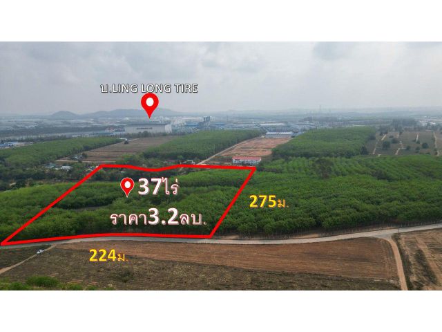 ขายที่ดิน ต.เขาคันทรง37ไร่