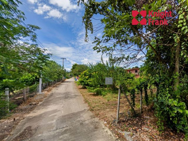 ขายที่ดิน 1 ไร่ ติดถนนโยธาธิการ ใกล้โบนันซ่า เขาใหญ่ จังหวัดนครราชสีมา