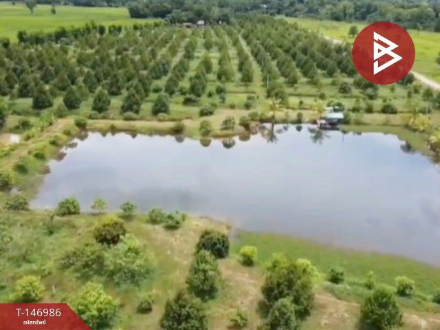 ขายที่ดินสวนทุเรียน เนื้อที่ 41 ไร่ 2 งาน 75.4 ตร.วา อ.โพนสวรรค์ นครพนม