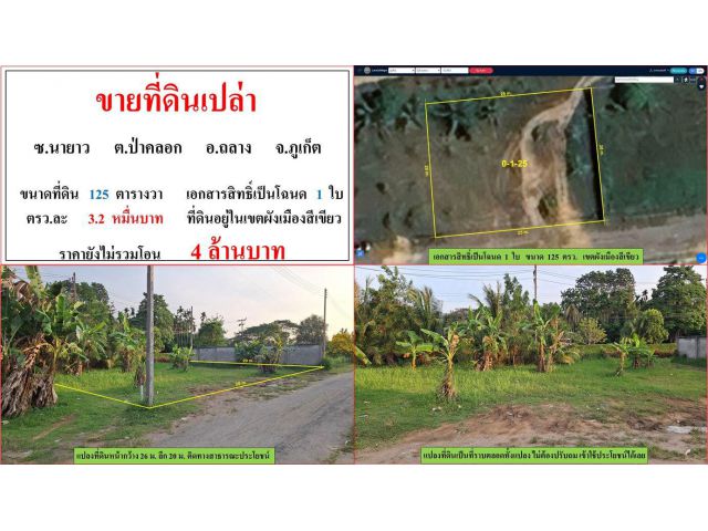 ขายที่ดินเปล่า ขนาด 125 ตรวง ซ.นายาว ต.ป่าคลอก อ.ถลาง ภูเก็ต