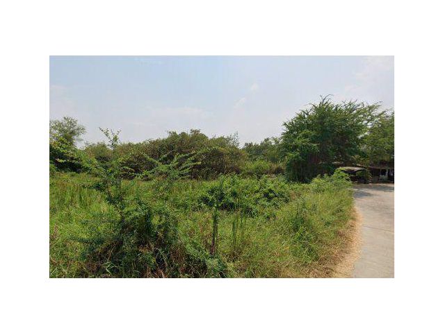ขายที่ดิน 7 ไร่ ต.บางนาง อ.พานทอง จ.ชลบุรี