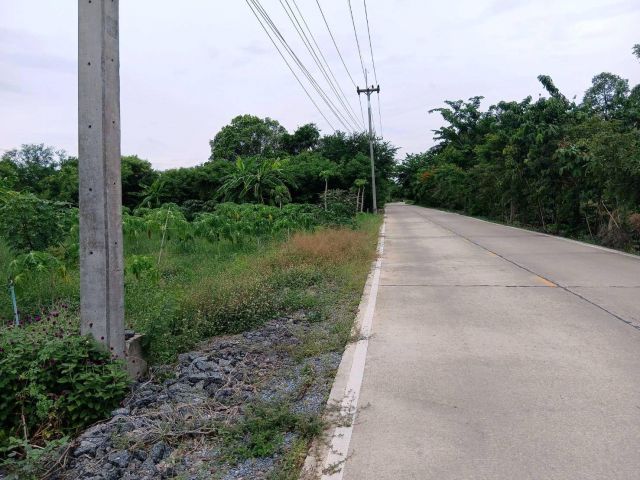 ขายด่วน!!! ที่ดินต.ดอนแฝก นครชัยศรี ติดถนนคอนกรีต เนื้อที่ 2-2-36 ไร่ ใกล้แหบ่งท่องเที่ยวเหมาะปลูกบ้านทำธุรกิจ