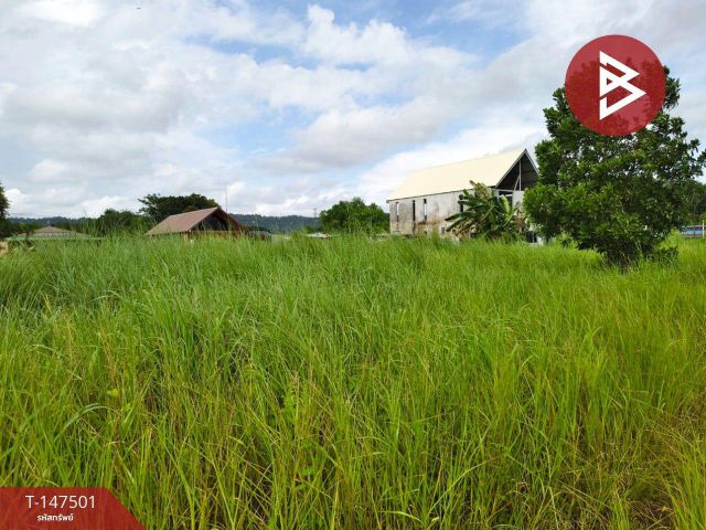 ขายที่ดิน เนื้อที่ 48.3 ตร.วา นายายอาม จันทบุรี