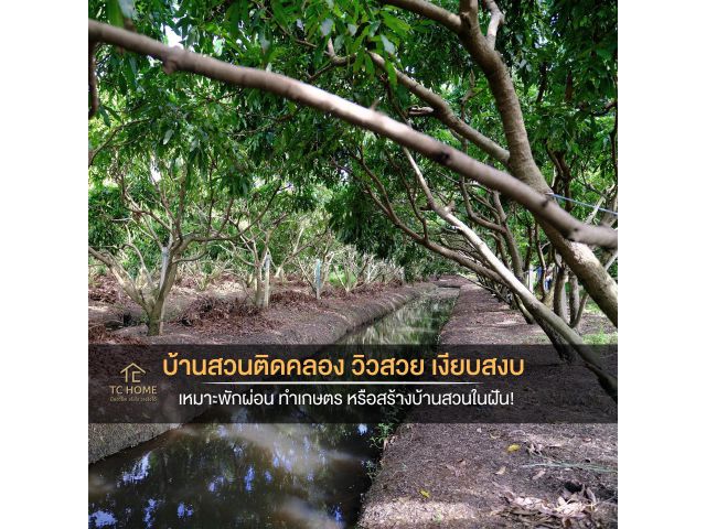 ขายที่ดินติดคลองบางช้าง 8-3-58 ไร่ คลองจินดา สามพราน รถเข้าถึง ราคา 16.9 ล้านบาท
