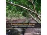 ขายที่ดินติดคลองบางช้าง 8-3-58 ไร่ คลองจินดา สามพราน รถเข้าถึง ราคา 16.9 ล้านบาท