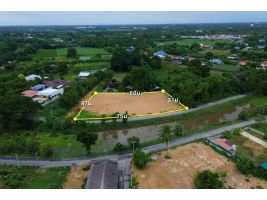 ขายที่ดิน 700 ตร.วา วังตะกู นครปฐม ถมแล้ว ติดถนน หน้ากว้าง 75 ม. ราคา 9.1 ล้าน